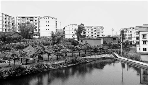 ���������(zh��n)�m�@���r(n��ng)���¾���ӛ��