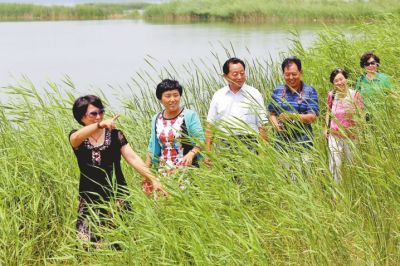 ���˂����B(y��ng)�����e���ĺ�߅�Y(ji��)������